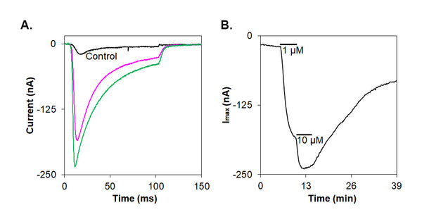 ɩ-Conotoxin RXIA – Figure 1 of 1