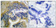 Anti-Cleaved-CASP3-D175 antibody (157-206 aa) (STJ90003) – Figure 1 of 1