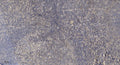 Anti-TF antibody [3G2] (STJ97609) – Figure 1 of 1