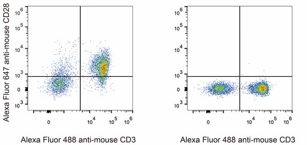 Anti-Cd28 antibody [37.51] {AF647} (STJA0000270) – Figure 1 of 1
