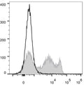 Anti-Cd8a antibody [OX-8] {FITC} (STJA0000538) – Figure 1 of 1
