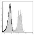Anti-CD3 Epsilon antibody [145-2C11] {AF488} (STJA0000580) – Figure 1 of 1