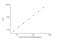 Human NT5E (5 NA-nucleotidase) CLIA Kit for Quantitative Detection – Figure 1 of 1
