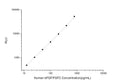 Human FGF2 (Fibroblast growth factor 2) CLIA Kit for Quantitative Detection – Figure 1 of 1