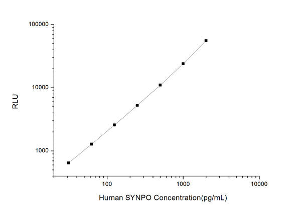 Human SYNPO (Synaptopodin) CLIA Kit for Quantitative Detection – Figure 1 of 1