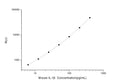 Mouse IL-1 Beta (Interleukin 1 Beta) CLIA Kit for Quantitative Detection – Figure 1 of 1