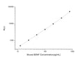 Mouse BDNF (Brain Derived Neurotrophic Factor) CLIA Kit for Quantitative Detection – Figure 1 of 1