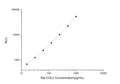 Rat COL2 (Collagen Type 2) CLIA Kit for Quantitative Detection – Figure 1 of 1
