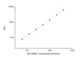Rat CREB1 (Cyclic AMP Response Element Binding Protein 1) CLIA Kit for Quantitative Detection – Figure 1 of 1