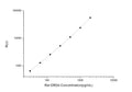 Rat DRD4 (Dopamine Receptor D4) CLIA Kit for Quantitative Detection – Figure 1 of 1