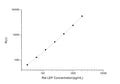 Rat LEP (Leptin) CLIA Kit for Quantitative Detection – Figure 1 of 1