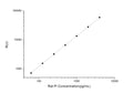 Rat PI (Proinsulin) CLIA Kit for Quantitative Detection – Figure 1 of 1