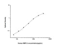 Human BMP2 (Bone morphogenetic protein 2) Sandwich ELISA Kit (STJE0001917) – Figure 1 of 1