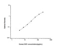 Human EGF (Pro-epidermal growth factor) Sandwich ELISA Kit (STJE0001958) – Figure 1 of 1