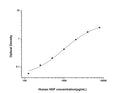 Human HGF (Hepatocyte growth factor) Sandwich ELISA Kit (STJE0001975) – Figure 1 of 1
