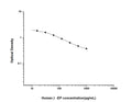 Human Beta-EP (Beta-Endorphin) Competitive ELISA Kit (STJE0002322) – Figure 1 of 1