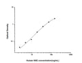 Human ENO2 (Gamma-enolase) Sandwich ELISA Kit (STJE0002679) – Figure 1 of 1