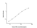 Human VIM (Vimentin) Sandwich ELISA Kit (STJE0002713) – Figure 1 of 1