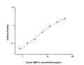 Human MMP2 (72 kDa type IV collagenase) Sandwich ELISA Kit (STJE0002977) – Figure 1 of 1