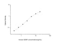 Human GDNF (Glial cell line-derived neurotrophic factor) Sandwich ELISA Kit (STJE0003010) – Figure 1 of 1