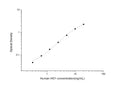 Human HMOX1 (Heme oxygenase 1) Sandwich ELISA Kit (STJE0003507) – Figure 1 of 1