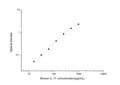 Mouse Il17a (Interleukin-17A) Sandwich ELISA Kit (STJE0004238) – Figure 1 of 1