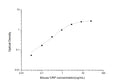 Mouse CRP (C-Reactive Protein) Sandwich ELISA Kit (STJE0004242) – Figure 1 of 1