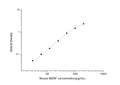 Mouse Bdnf (Brain-derived neurotrophic factor) Sandwich ELISA Kit (STJE0004338) – Figure 1 of 1