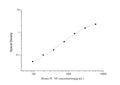 Mouse P1NP (Procollagen 1 N-Terminal Propeptide) Sandwich ELISA Kit (STJE0004362) – Figure 1 of 1