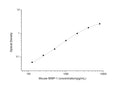 Mouse Mmp1a (Interstitial collagenase A) Sandwich ELISA Kit (STJE0004773) – Figure 1 of 1