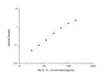 Rat Il1b (Interleukin-1 beta) Sandwich ELISA Kit (STJE0005440) – Figure 1 of 1