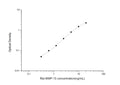 Rat Mmp13 (Collagenase 3) Sandwich ELISA Kit (STJE0005455) – Figure 1 of 1