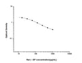 Rat Beta-EP (Beta-Endorphin) Competitive ELISA Kit (STJE0005500) – Figure 1 of 1