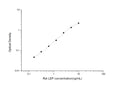 Rat Lep (Leptin) Sandwich ELISA Kit (STJE0005877) – Figure 1 of 1