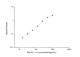 Rat A Beta 1-42 (Amyloid Beta 1-42) Sandwich ELISA Kit (STJE0006321) – Figure 1 of 1