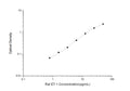 Rat ET-1 (Endothelin 1) Sandwich ELISA Kit (STJE0006350) – Figure 1 of 1