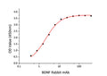 Human BDNF protein (Active Recombinant) (C-His) (STJP001258) – Figure 1 of 1
