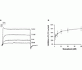 Noxiustoxin