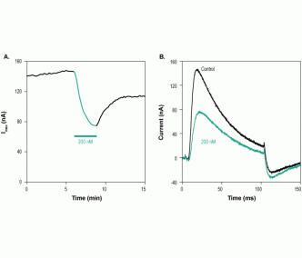 Phrixotoxin-2