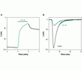 Phrixotoxin-3