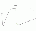 Tamapin
