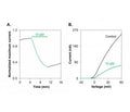 Vm24 Toxin