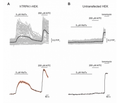 Wasabi Receptor Toxin