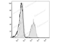 PE Anti-Mouse CD19 Antibody[1D3] – Figure 1 of 2