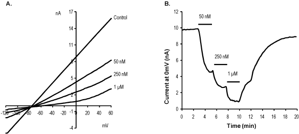 TRAM 34 – Figure 1 of 2