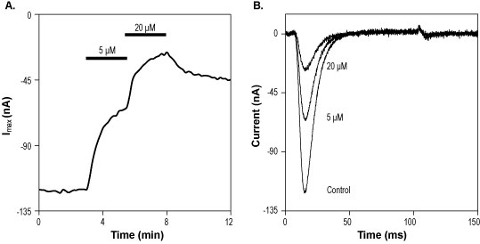 TTA-P2 – Figure 1 of 2