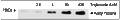 Trichostatin A – Figure 1 of 2