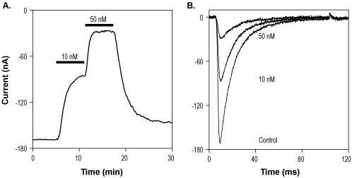 4,9-Anhydrotetrodotoxin – Figure 1 of 2