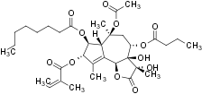 Thapsigargin – Figure 1 of 5
