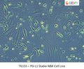 PD-L1 Stable NBK Cell Line | Applied Biological Materials (abm)